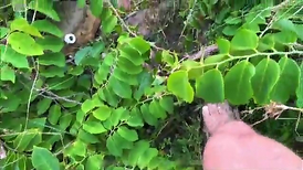 Couple on a nudist beach has bang-out outdoors with black rage Marlon Costa fury-anger full  on RED